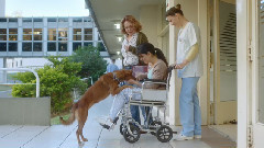 音乐短片 - 现代八公传奇在阿根廷