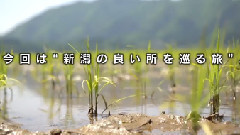 AKB48 - AKB48旅少女 EP07