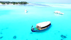 音乐短片 - Ultimate Chill and Relaxation Music For Stress Relief