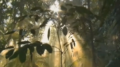 音乐短片 - Copia Di Romantic Music For Piano And Orchestra