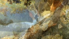 音乐短片 - Autumn In Paradise