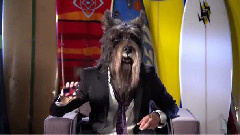 音乐短片 - Set Design