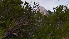 音乐短片 - 塞拉利昂东部时间流逝3