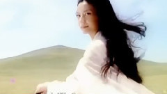 赵薇 - 古装群像