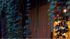 音乐短片 - 月溪香林