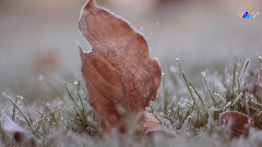 音乐短片 - Winter Memory