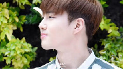SUHO(EXO) - Happy SUHO Day
