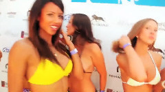 音乐短片 - SpyOnVegas'39 Hot 100 2011 Round 4