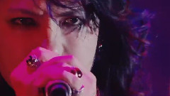 VAMPS - <VAMPS LIVE 2014-2015>