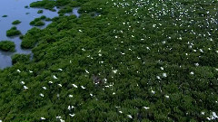 音乐短片 - 看见台湾(十六)