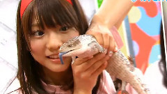 AKB48 - AKBINGO! EP85