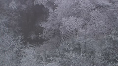 音乐短片 - 泼墨黄山 四