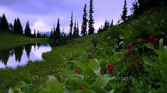 音乐短片 - 美国国家公园 二