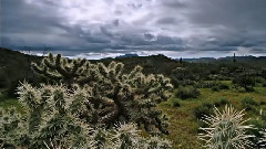 音乐短片 - 美国国家公园(九)