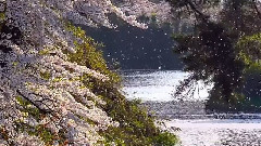 音乐短片 - 爱的罗曼史