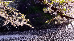 音乐短片 - 简爱(Jane Eyre)