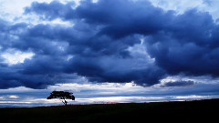 音乐短片 - 美景如画