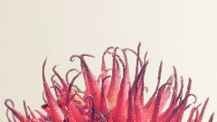 音乐短片 - 克里特