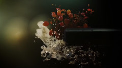 音乐短片 - 冬季掠影