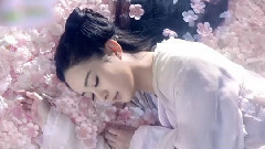 赵丽颖 - 电视剧<花千骨>