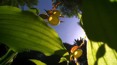 音乐短片 - 知性