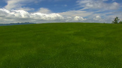 音乐短片 - 北海道之夏(一)