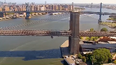 音乐短片 - Paradise Of Bird