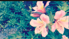 初音未来 - きかせたいのは