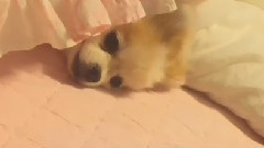 Yuri(少女时代),少女时代 - YURI Instagram 更新Cut