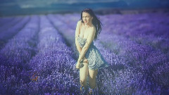 音乐短片 - Mirage Of Flowers