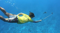 音乐短片 - FLPMD MashUp Song Is Death By White Lies