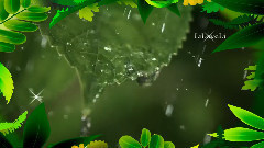 音乐短片 - You're Like A Rain