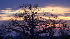 音乐短片 - Trinidad,Cuba In 4K