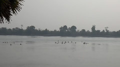 音乐短片 - Temples Of Angkor,Cambodia