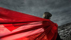 Aimer - Brave Shine