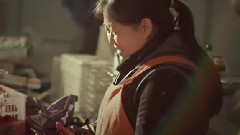 华语群星 - 映秀花开了