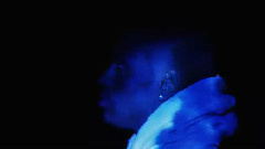 Drake,Big Sean - Blessings