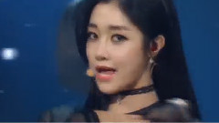 Nine Muses - Glue