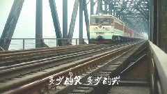 刘德华 - 回家的路