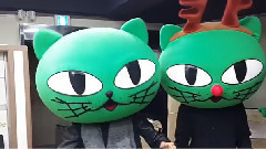 GOT7 - 王嘉尔 & BamBam扮OKCAT