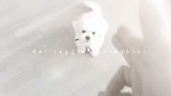 EXO - TAO更新candy相关:子弹飞,把宝宝吓跑