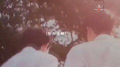 群星 - 追溯