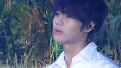 李泰民(SHINee),SHINee - The Reason