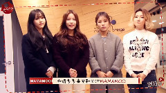 MAMAMOO - MAMAMOO 音悦Tai新年ID