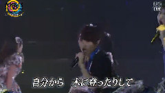 NMB48,AKB48 - 高嶺の林檎