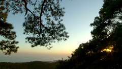 让世界是个和平村