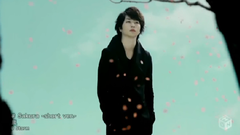 岚 - Sakura (short ver.)
