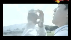 刘若英 - 半路