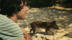 The Cribs - Burning For No One