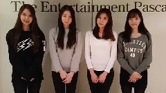 Stellar - 2015新年问候